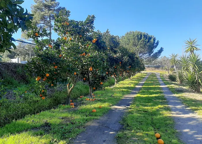 Monte Das Laranjeiras
