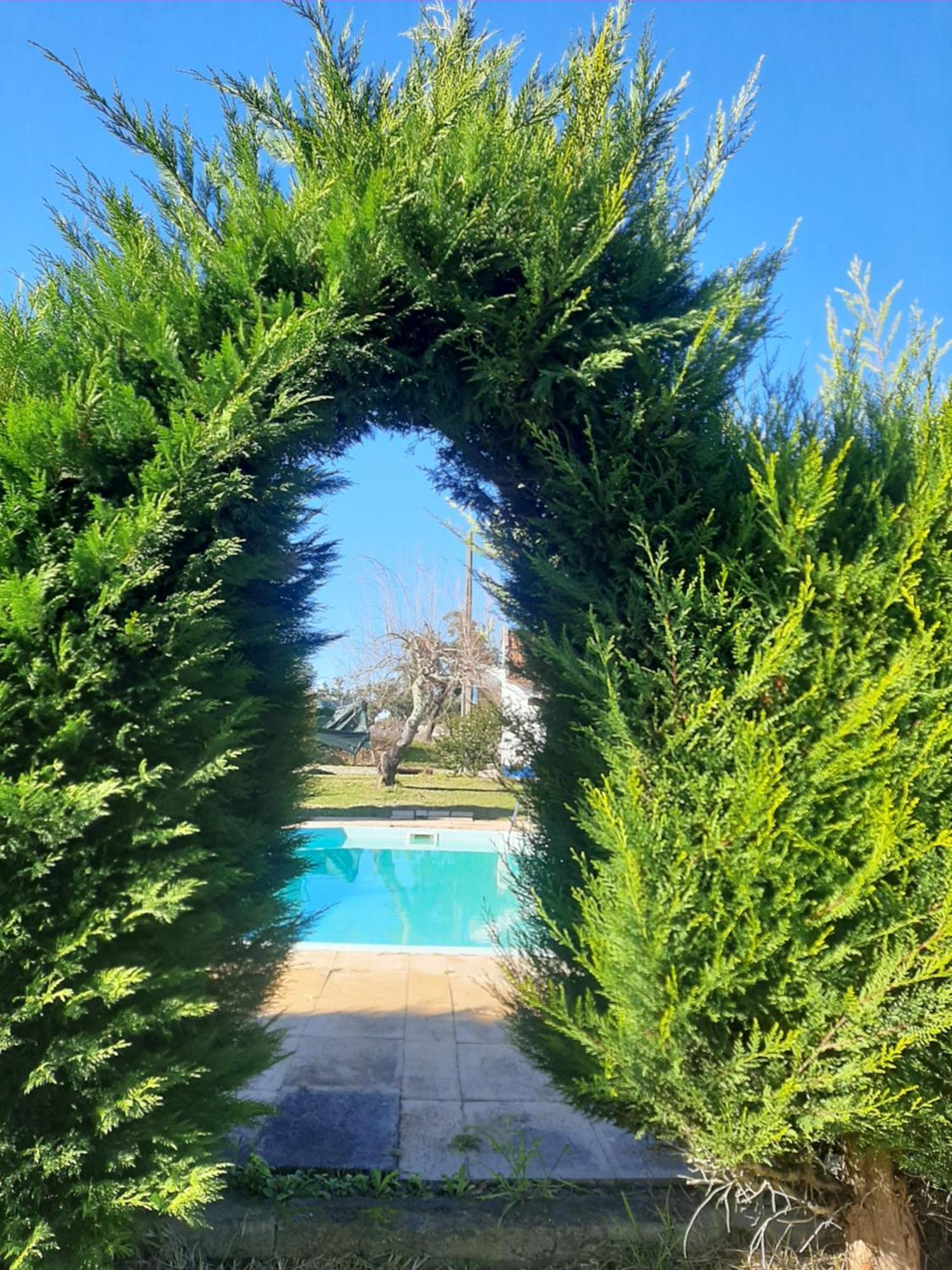 Hébergement de vacances Monte Laranjeiras