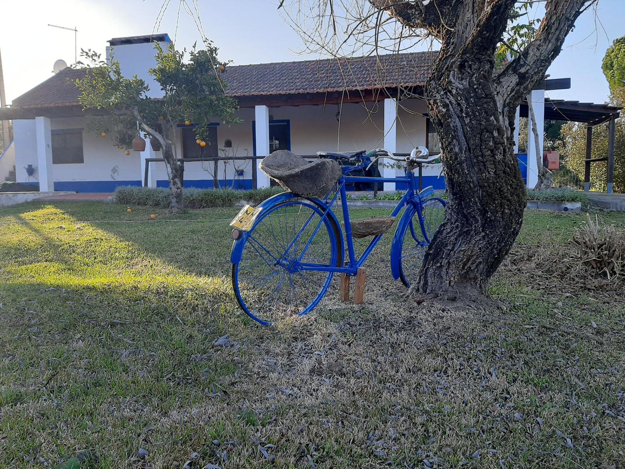 Monte Laranjeiras *